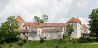 Свірзький замок