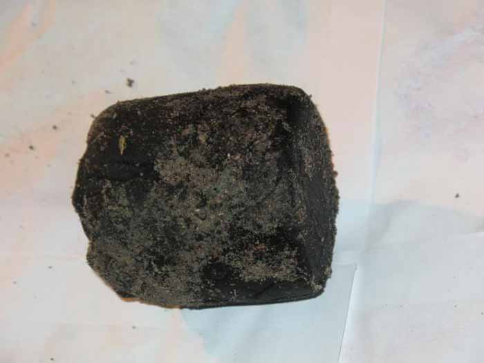 Віднайдена частина прапора пластового куреня “Лісові Чорти”. 7 червня 2007 р.