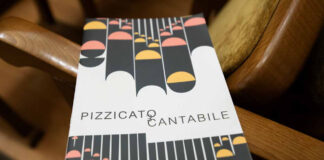 Буклет Міжнародного фестивалю літньої пори «Pizzicato e Cantabile»