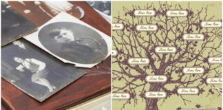 Як зробити родове дерево: 5 шляхів пошуку предків