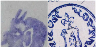 Печатки пластового куреня "Лісові Чорти" у Львові