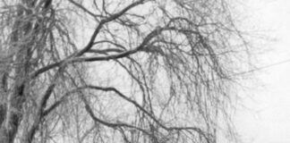 Зимовий Львів, 1939-1945 рр.