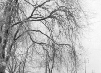 Зимовий Львів, 1939-1945 рр.