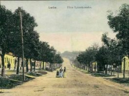 Вулиця Личаківська в районі Верхнього Личакова. Кінець ХІХ століття