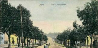 Вулиця Личаківська в районі Верхнього Личакова. Кінець ХІХ століття