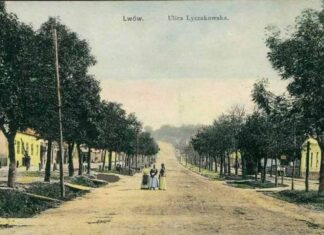 Вулиця Личаківська в районі Верхнього Личакова. Кінець ХІХ століття