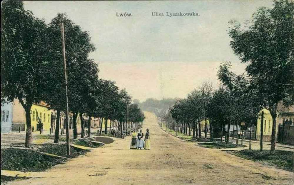 Вулиця Личаківська в районі Верхнього Личакова. Кінець ХІХ століття