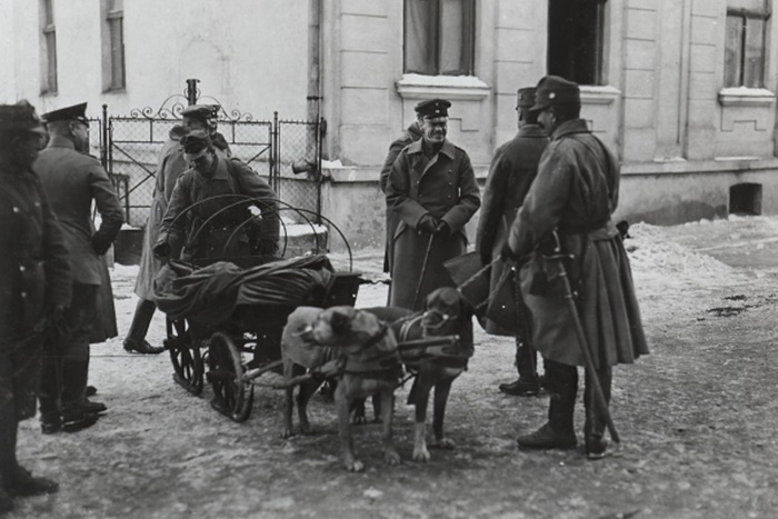 Бережани, 1915-1917 рр.