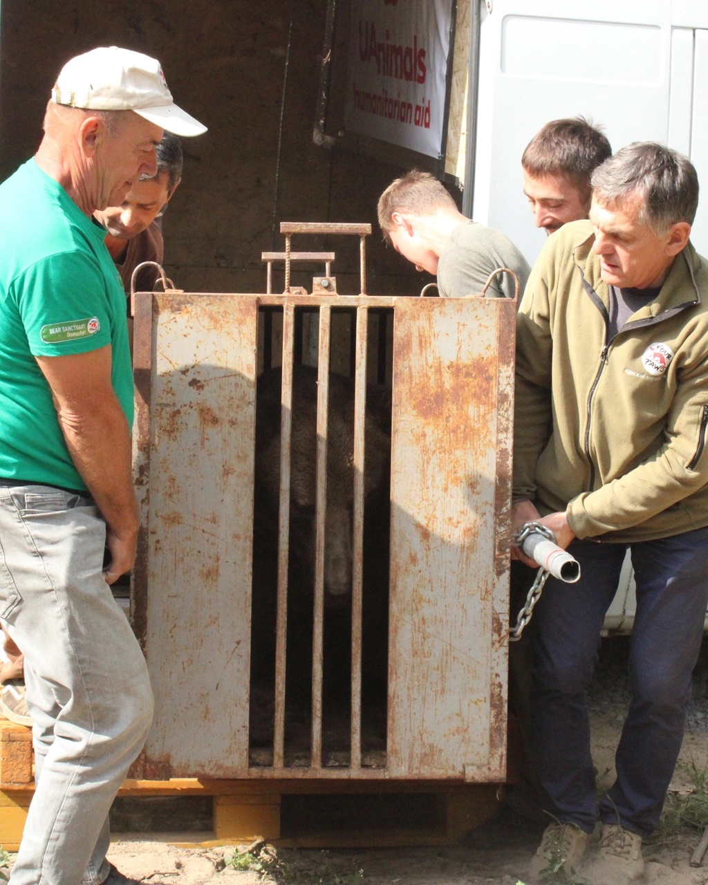 Евакуйований ведмідь Бахмут