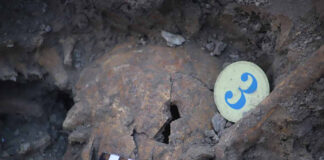 Останки закатованих радянською владою людей на території колишньої тюрми НКВС та  КДБ з 90-х років у Дрогобичі