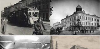 Кінний та електричний трамвай почав їздити вулицею Городоцькою і на Богданівку