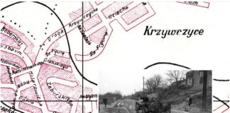 Кривчиці, Яловець, Професорська колонія, На Горах, Підгори – околиці міста Львова