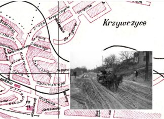 Кривчиці, Яловець, Професорська колонія, На Горах, Підгори – околиці міста Львова