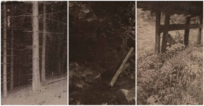 У Львові поговорять про "альтернативні техніки" фотографії з Юрієм Ковальчиком