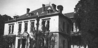 Підгорецький палац коло міста Стрий, 1910-1930-ті рр.