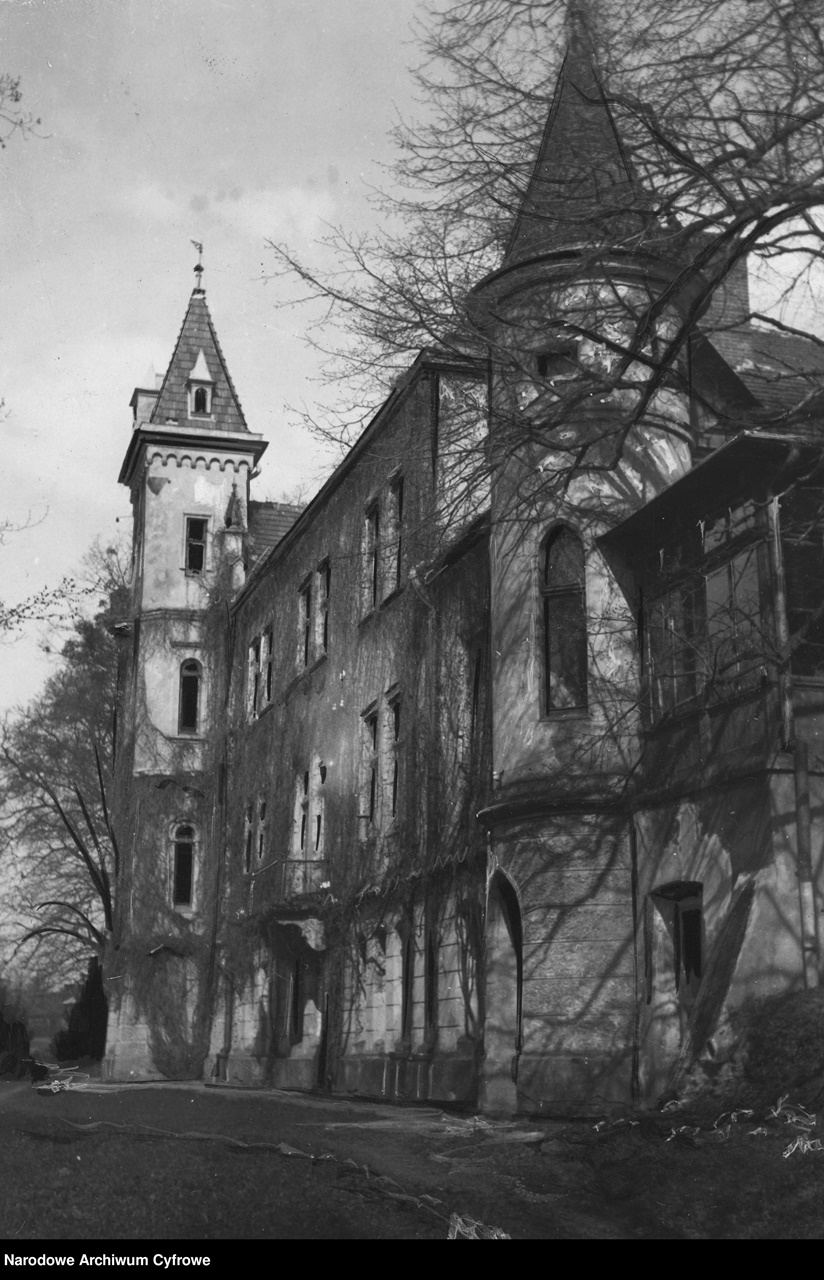 Підгорецький палац коло міста Стрий, 1910-1930-ті рр.