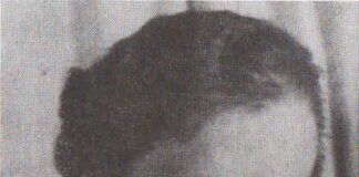 Ніна Селезінка