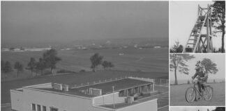 Дресирування собак. Рава-Руська, 1933-1939 рр.