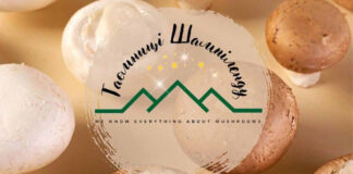 На Львівщині почали проводити екскурсії на фермі печериць