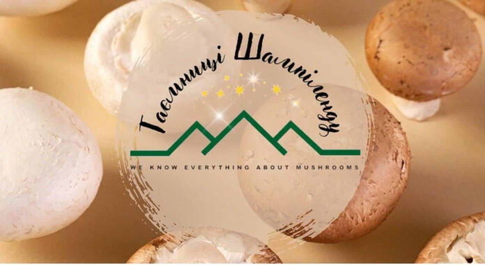 На Львівщині почали проводити екскурсії на фермі печериць На Львівщині почали проводити екскурсії на фермі печериць