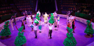 Новорічна програма «ЦИРК 2023»