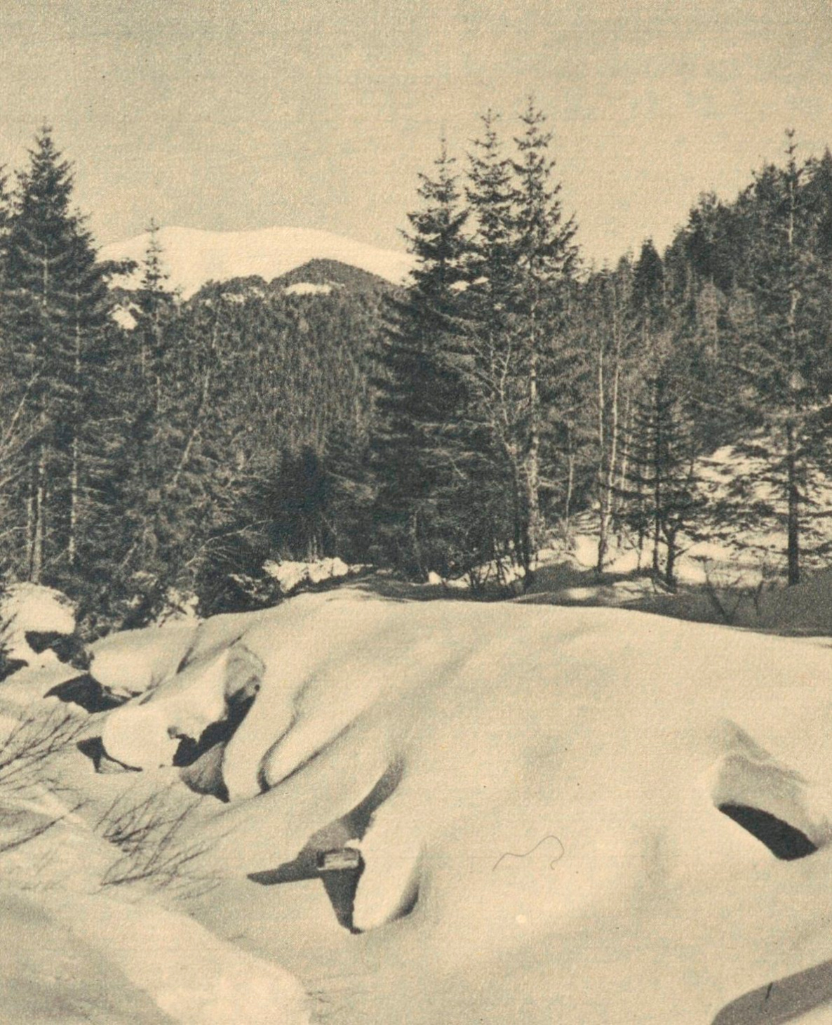 Гуцульщина, 1930-ті рр.