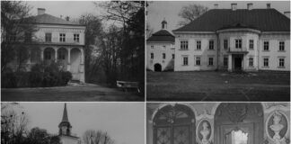 палац в Крисовичах