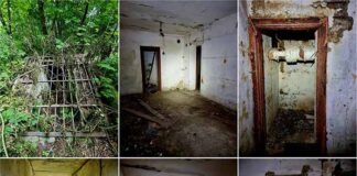 Покинуте бомбосховище в зарослях Високого Замку