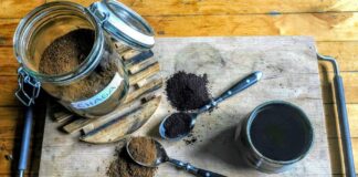 Гриб чага / © Unsplash