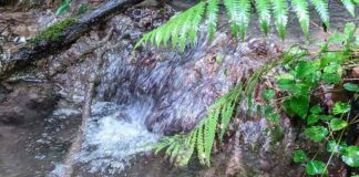 Травертинові джерела