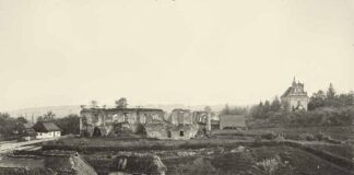 Руїни Гологірського замку