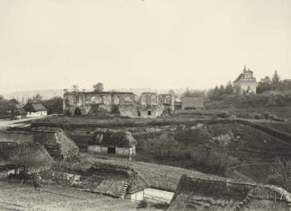 Руїни Гологірського замку