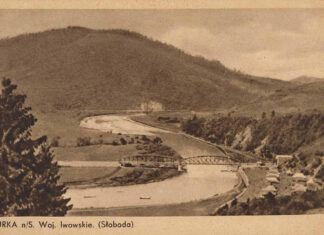 Турка, початок ХХ століття