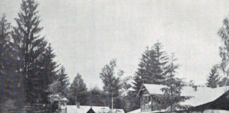 Приватні вілли, Немирів, 1914 р.