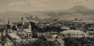 Панорама міста Добромиль, 1930-ті рр.