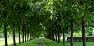 Фото: Дрогобицька міськрада