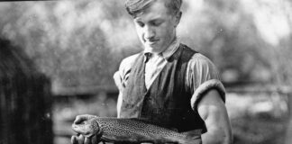 Гребенів. Форелеве господарство, 1937