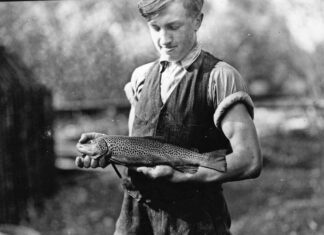 Гребенів. Форелеве господарство, 1937