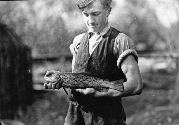 Гребенів. Форелеве господарство, 1937