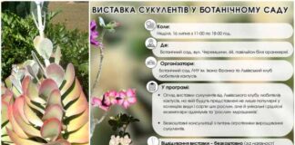 В неділю у Ботанічному саду відкриють виставку сукулентів