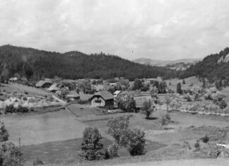 Село Розлуч, Турківщина, початок ХХ століття