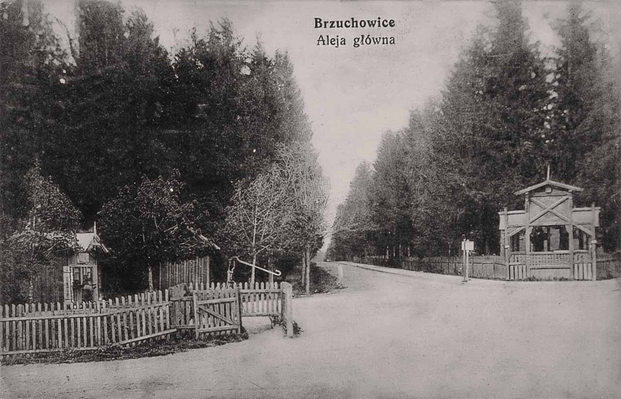 Брюховичі, кінець ХІХ століття