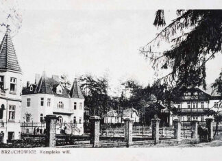 Брюховичі. Комплекс віл