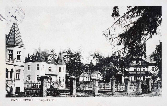 Брюховичі. Комплекс віл Брюховичі. Комплекс віл