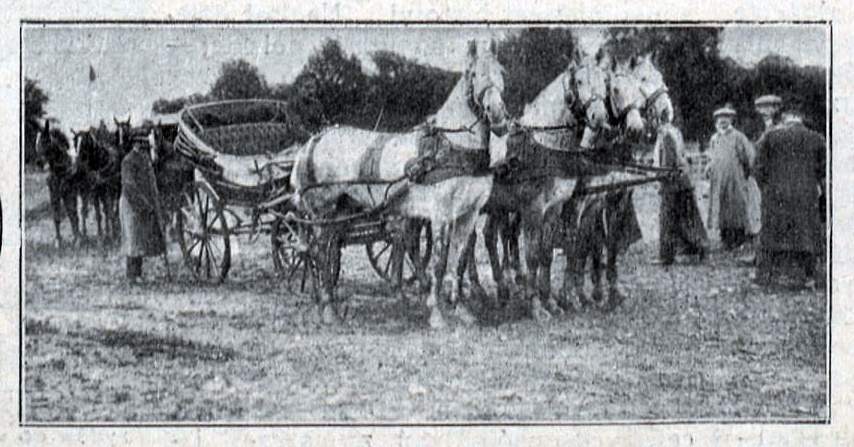 Четвірка коней графа Олександра Лєдуxовського на змаганняx у Рівному 