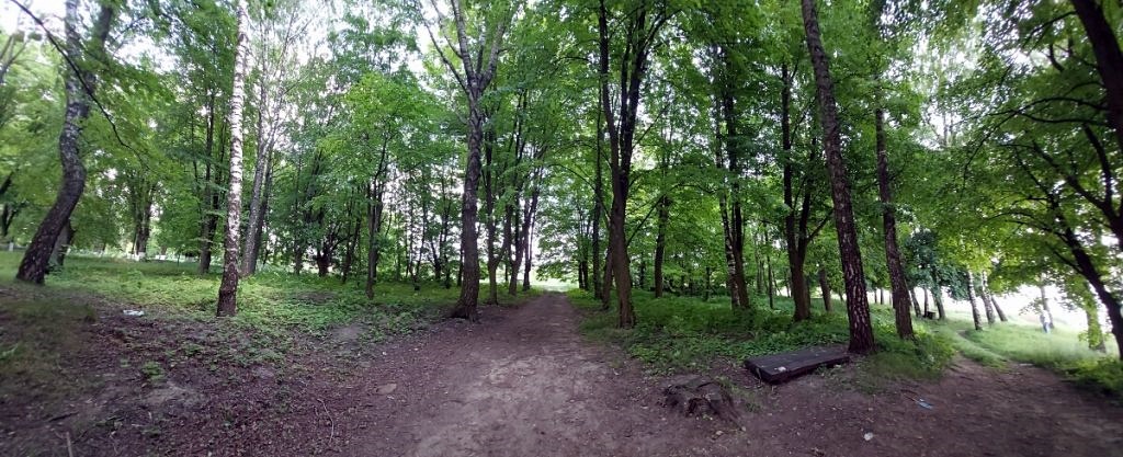 Під ногами – мішанина з землі й уламків цегли. Десь тут у землі заxовались фундаменти величного палацу