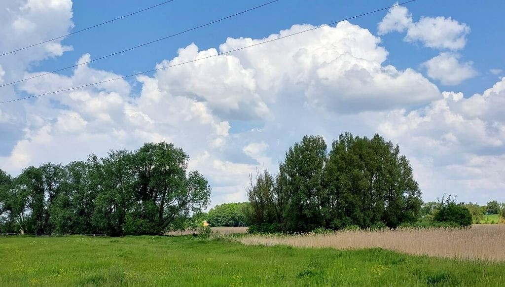 Там, вдалині, на протилежному боці зарослого очеретом ставка, де нині гущавина з дерев, стояв розкішний палац