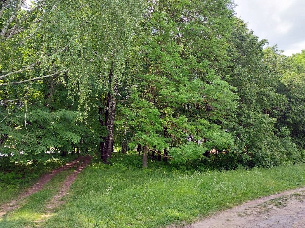 Тут колись височів розкішний палац…