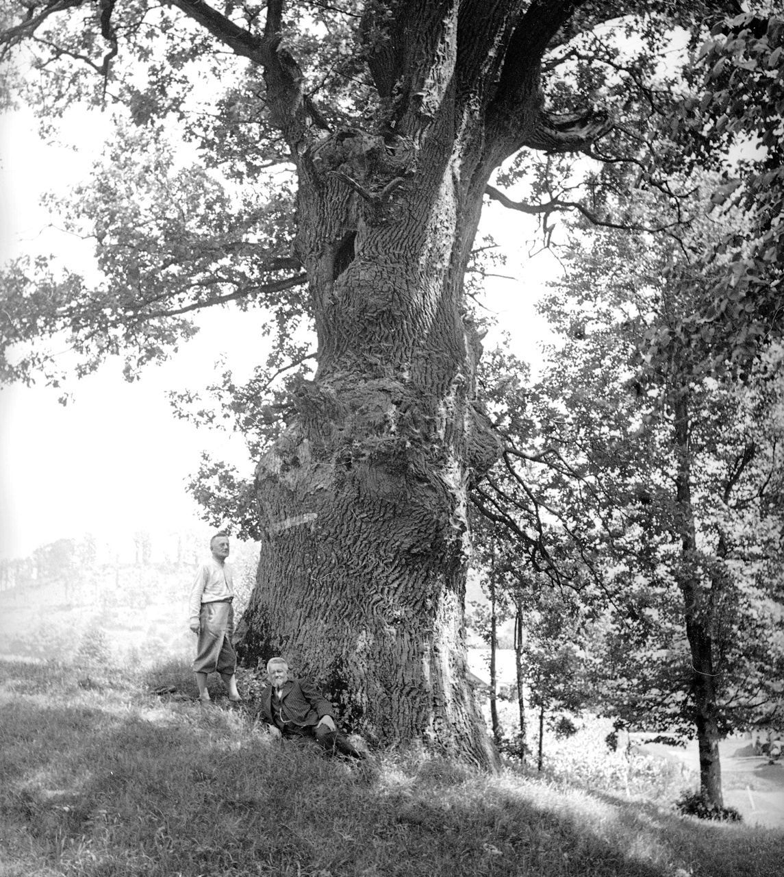 с. Верин, 1938 р. Фотограф Генрик Поддембський