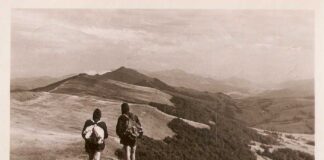 Бєщади, полонина Царинська. Автор Т. Догналік. Джерело: CFK PTTK